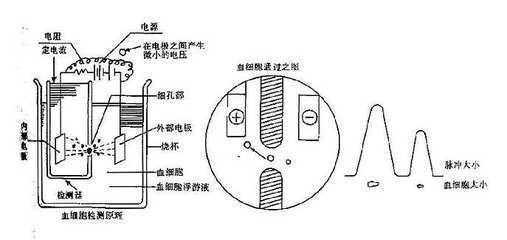 国康血液分析仪的电阻抗法原理