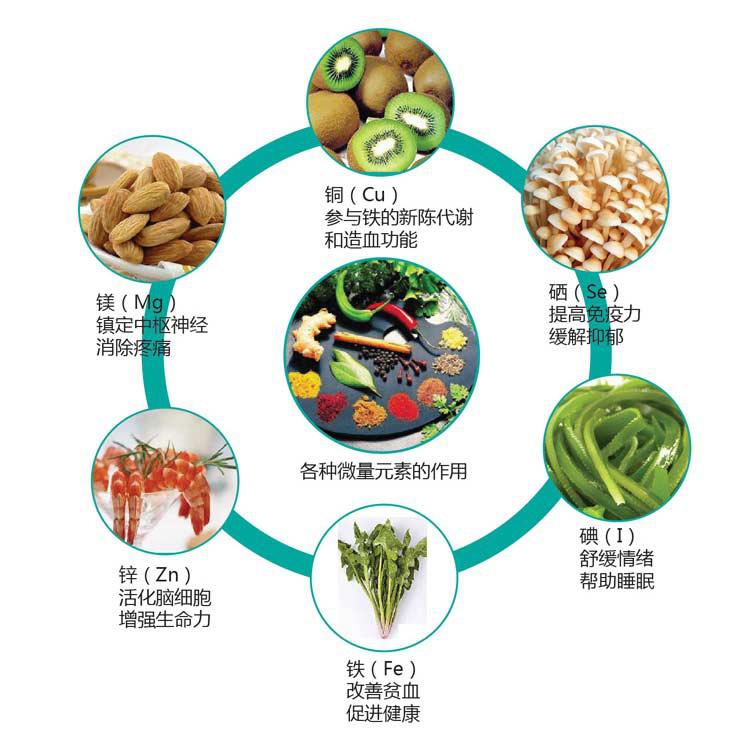全自动微量元素分析仪