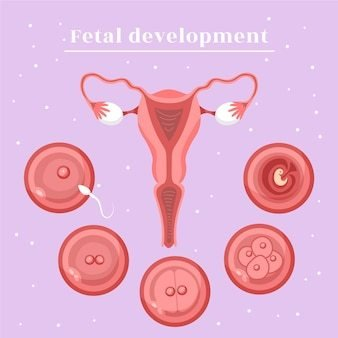 阴道分泌物分析仪提醒女士：确诊盆腔炎除了治疗，还需要护理，否则加重病情