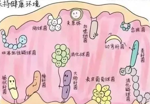 阴道分泌物检测仪